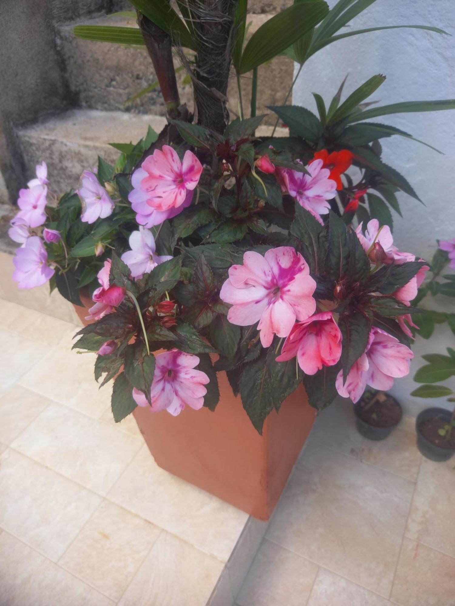 Suites Mathias Flat Conservatoria Bagian luar foto